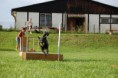 /album/flyball1/ajaflyball4-8-10-jpg1/